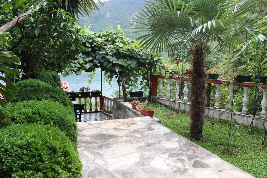 Apartments Mijuskovic Donji Morinj Oda fotoğraf