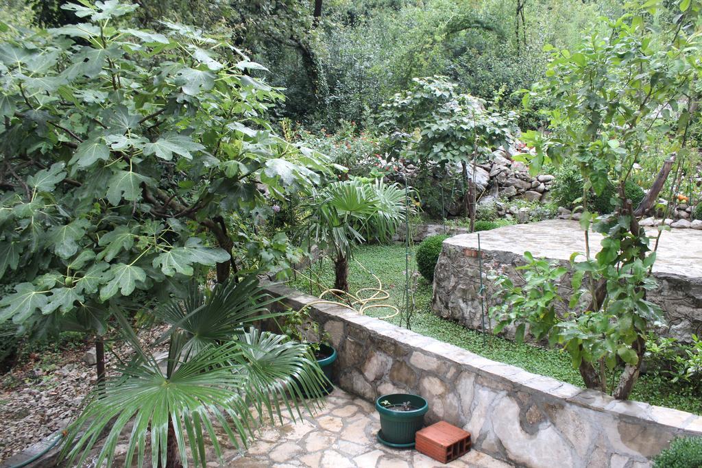 Apartments Mijuskovic Donji Morinj Dış mekan fotoğraf