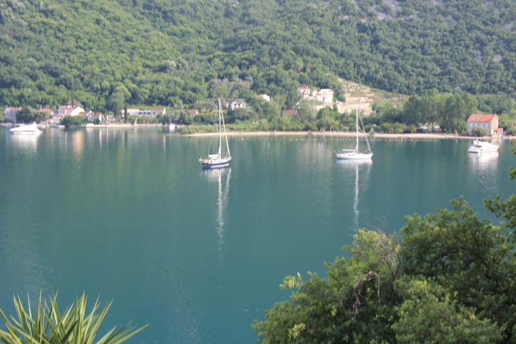 Apartments Mijuskovic Donji Morinj Oda fotoğraf